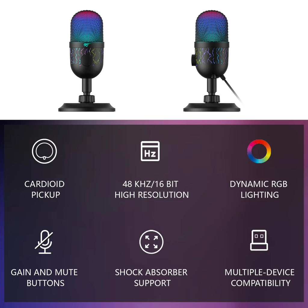 Wired Microphone