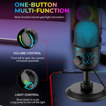 Wired Microphone