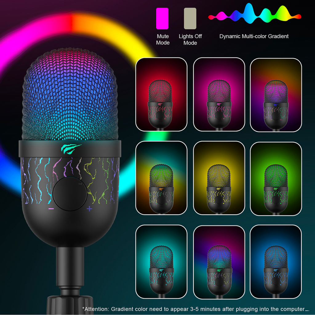 Wired Microphone