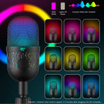 Wired Microphone