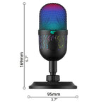 Wired Microphone