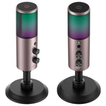 Wired Microphone