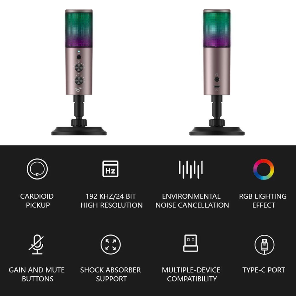 Wired Microphone