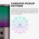 Wired Microphone