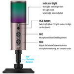 Wired Microphone