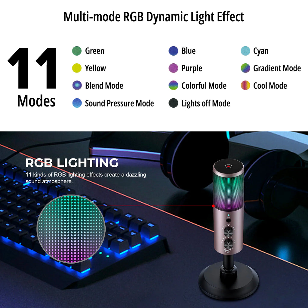 Wired Microphone