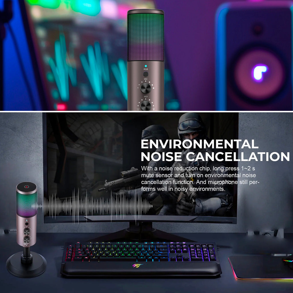Wired Microphone