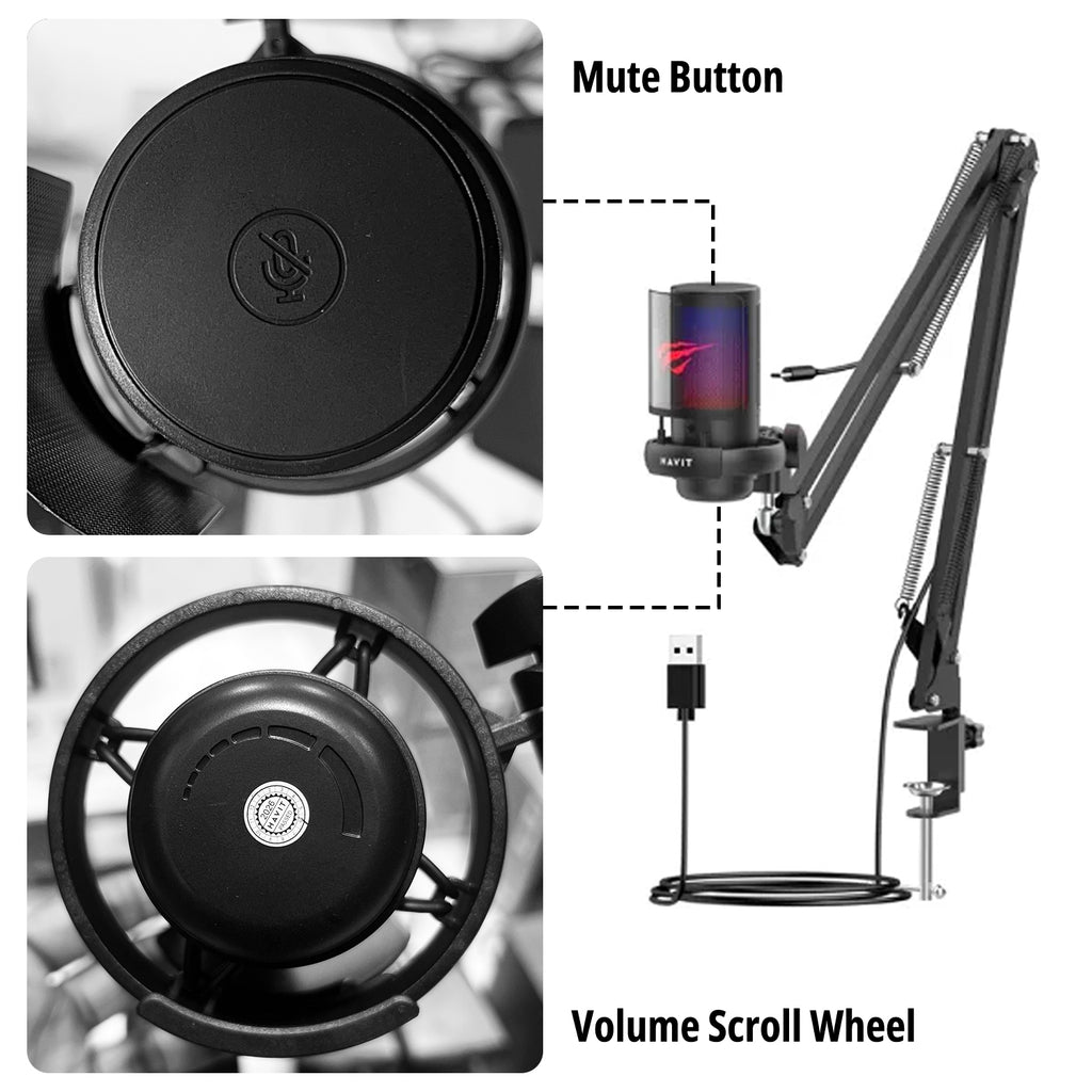 Wired Microphone