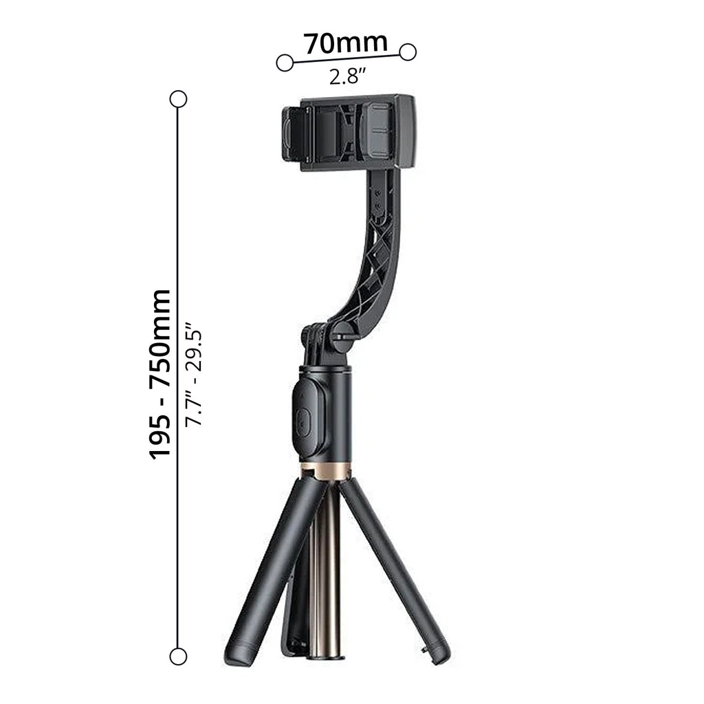 Selfie Stick