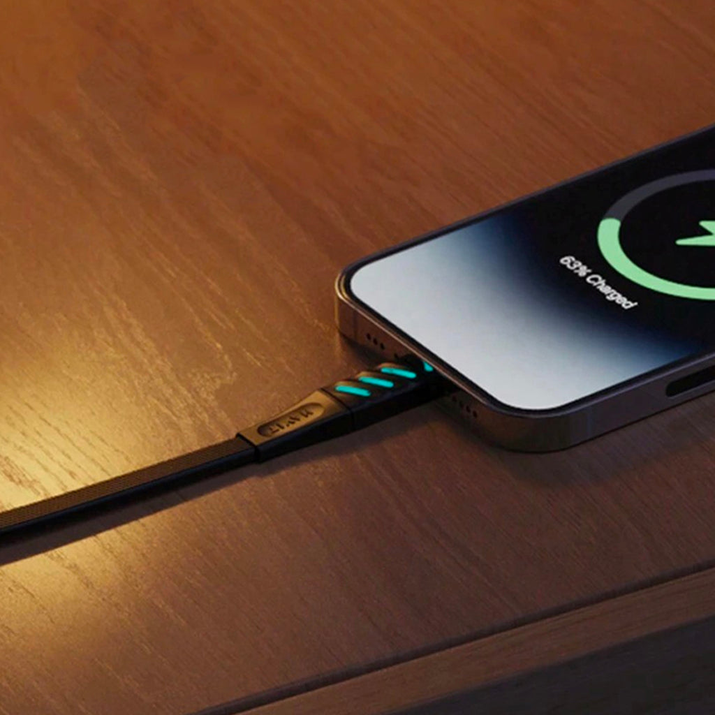 USB Cable (1m)