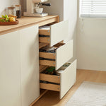 Cabinet With Door