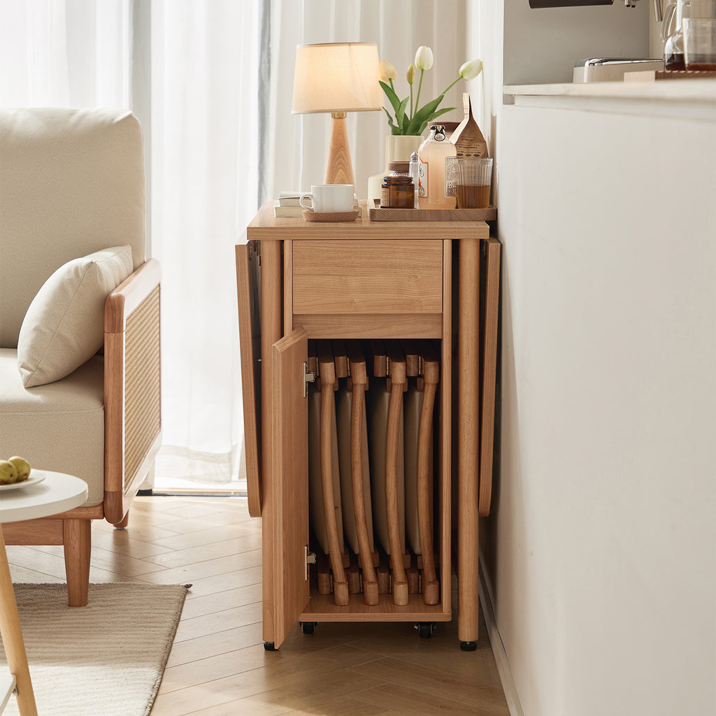 Dining Set (foldable)