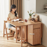 Dining Set (foldable)