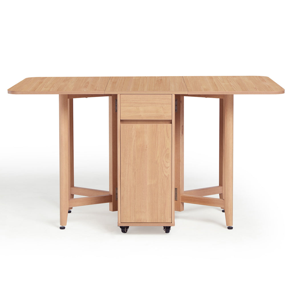 Dining Set (foldable)