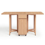Dining Set (foldable)