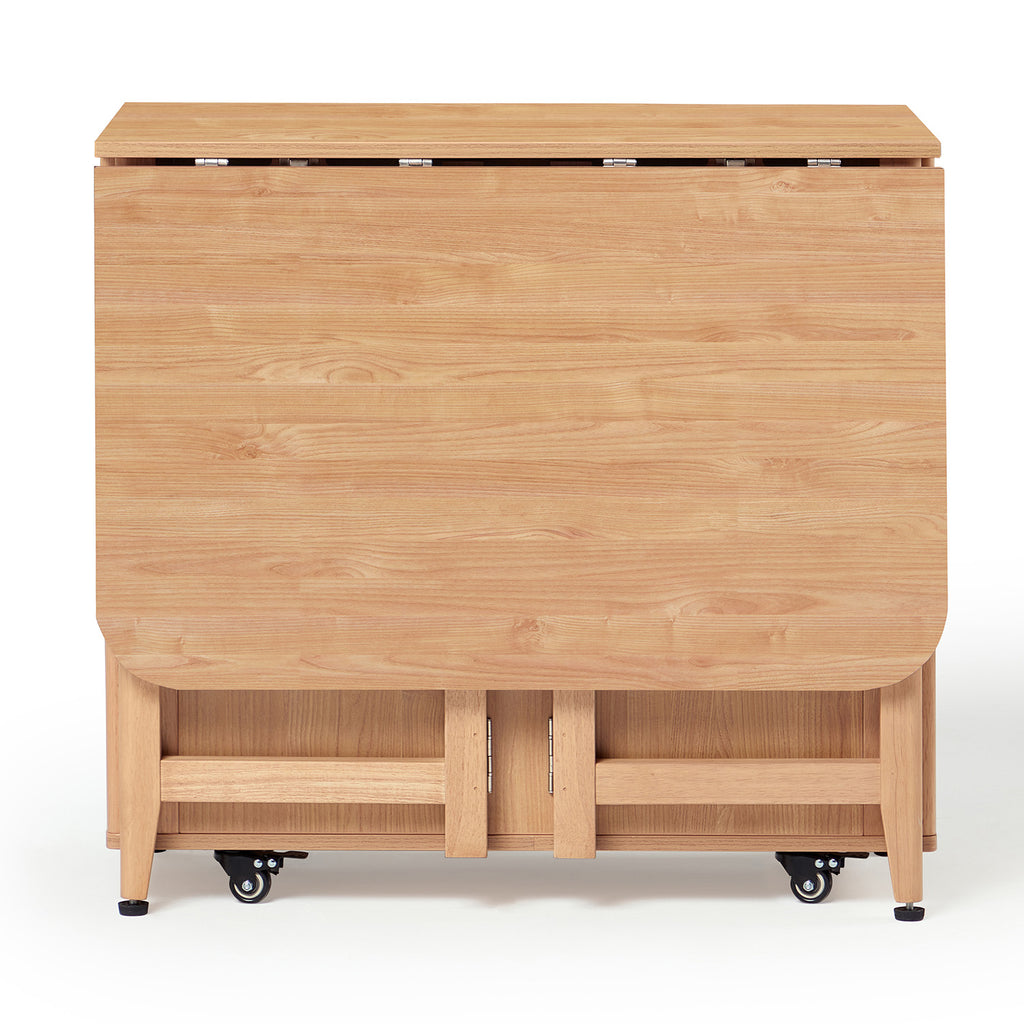 Dining Set (foldable)
