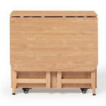 Dining Set (foldable)