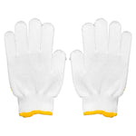 Gloves (12 Pairs)