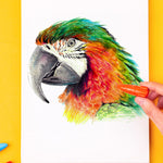 Oil Pastel Set (36 PCs)