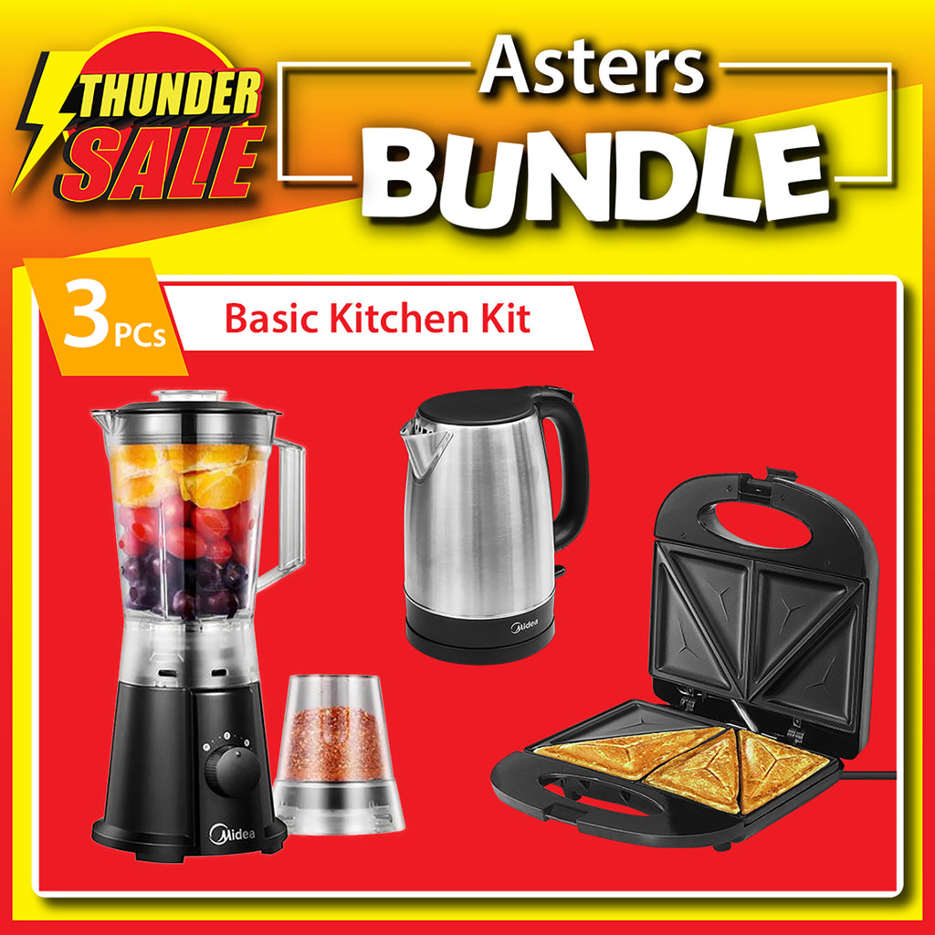 Asters Bundle (3 PCs)