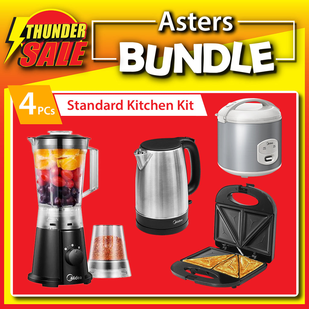 Asters Bundle (4 PCs)