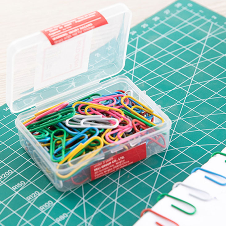 Paper Clip (100 Pcs) - Asters Maldives