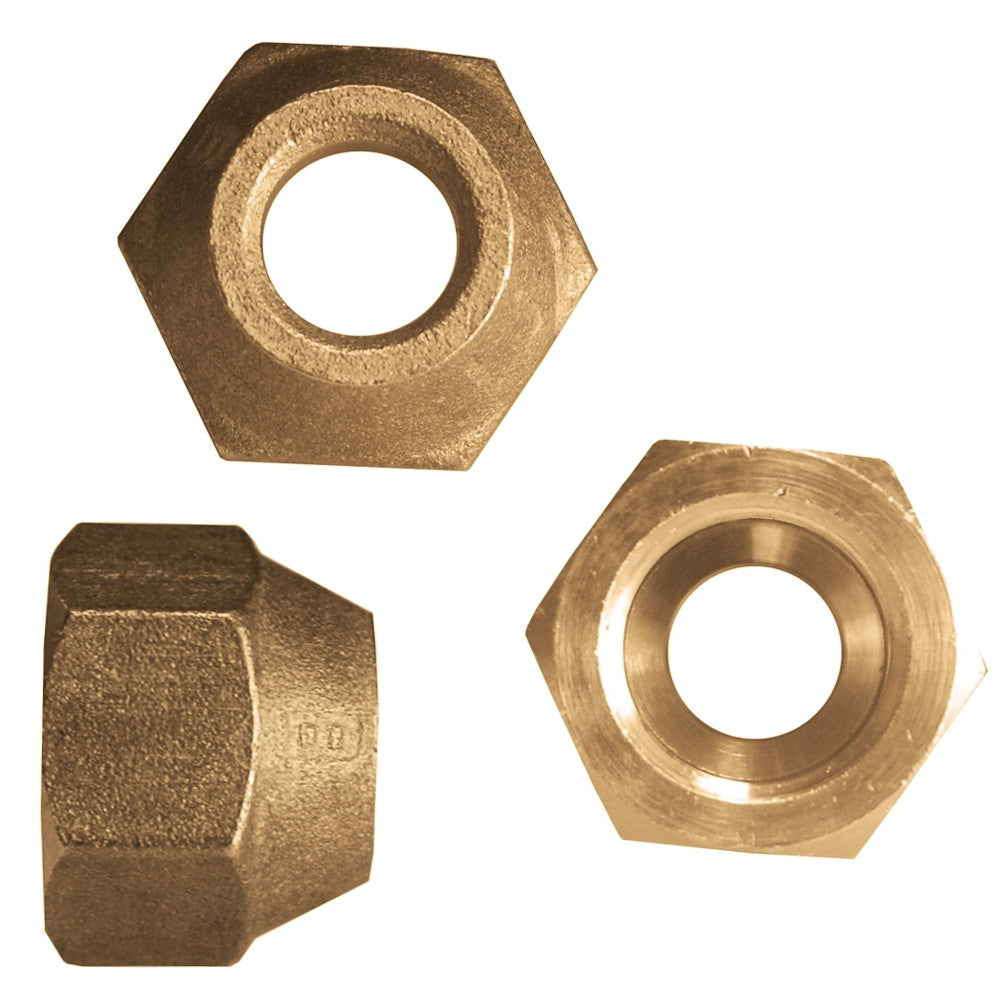 Flaring Nut - Asters Maldives