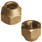 Flaring Nut - Asters Maldives