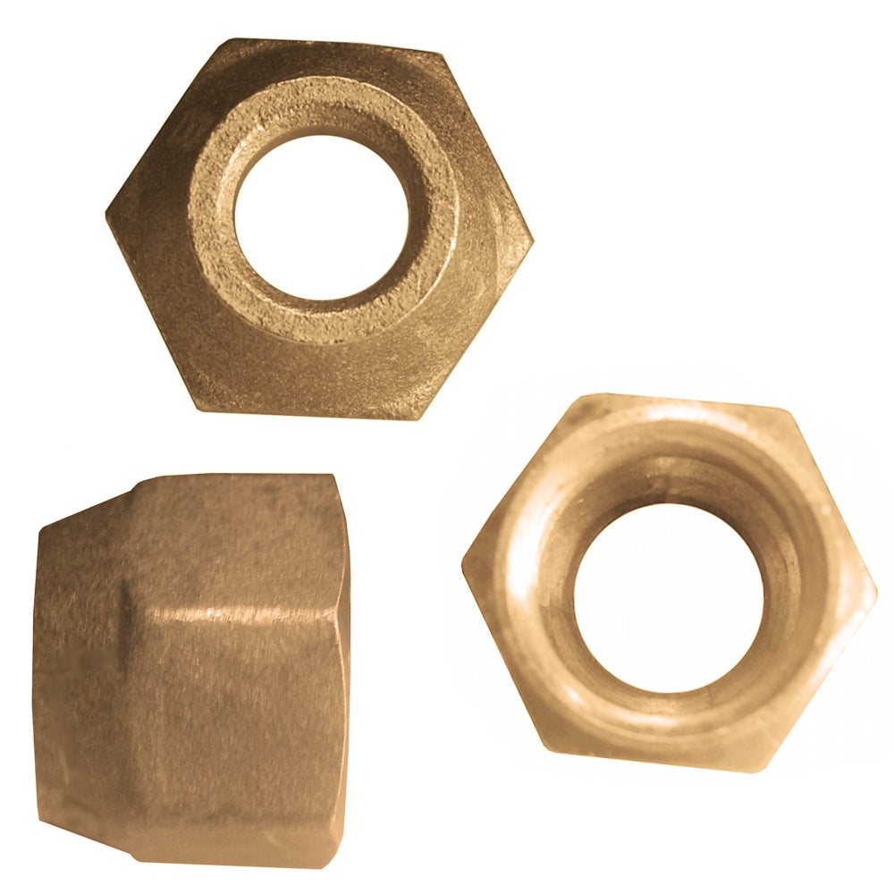 Flaring Nut - Asters Maldives