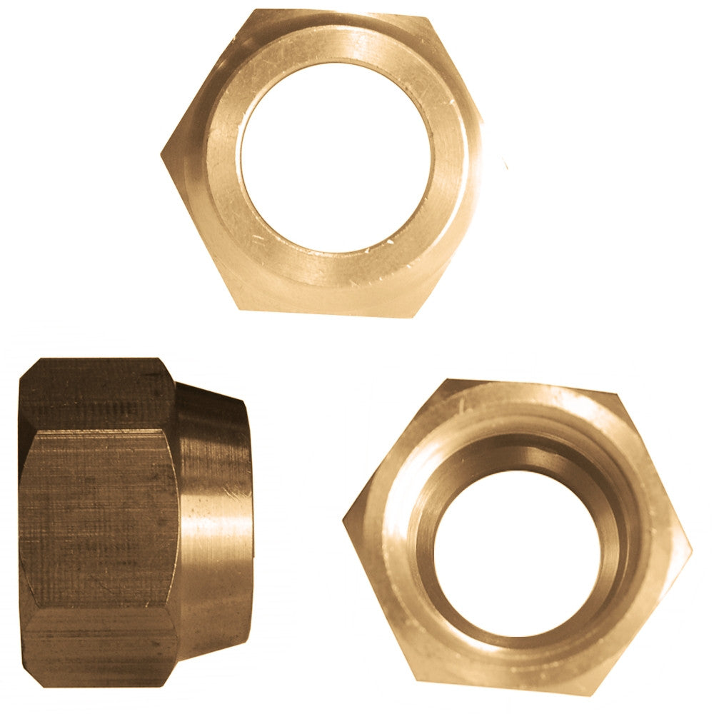 Flaring Nut - Asters Maldives