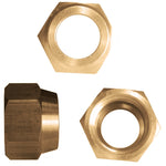 Flaring Nut - Asters Maldives