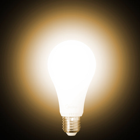 LED Bulb (15W) - Asters Maldives