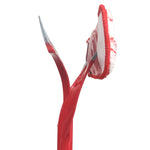 Window Squeegee - Asters Maldives