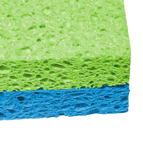 Cellulose Sponge (2 Pcs) - Asters Maldives