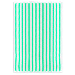 Cleaning Cloth (2 Pcs) - Asters Maldives