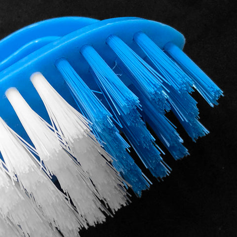 Scrubber Brush - Asters Maldives