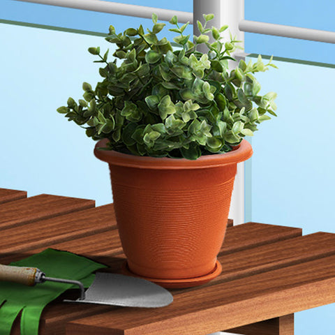 Plant Pot - Asters Maldives