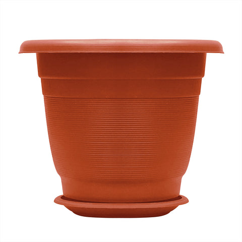 Plant Pot - Asters Maldives