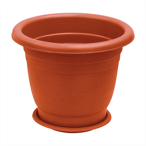 Plant Pot - Asters Maldives