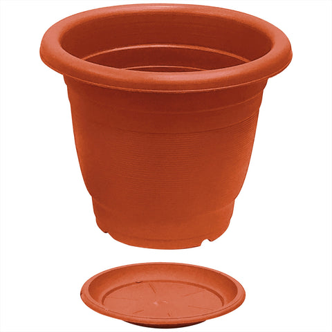 Plant Pot - Asters Maldives