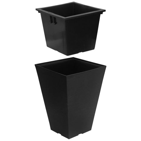 Plant Pot - Asters Maldives