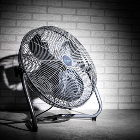 Floor Fan - Asters Maldives