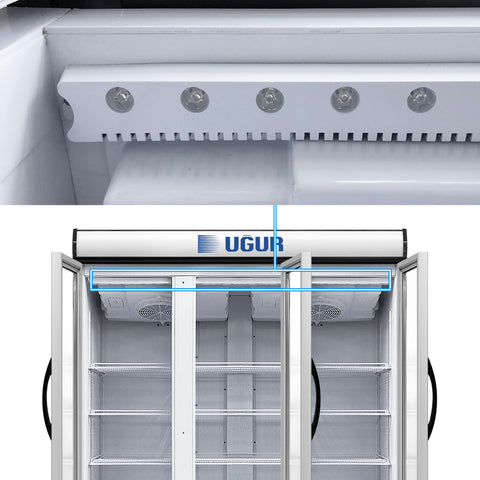 Display Fridge (1148L) - Asters Maldives