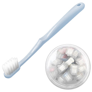 Tooth Brush (12 PCs) - Asters Maldives