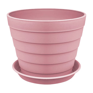 Plant Pot - Asters Maldives