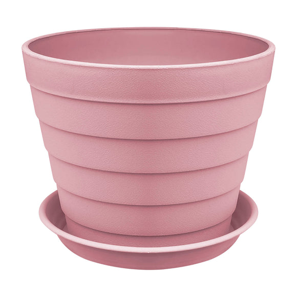 Plant Pot - Asters Maldives