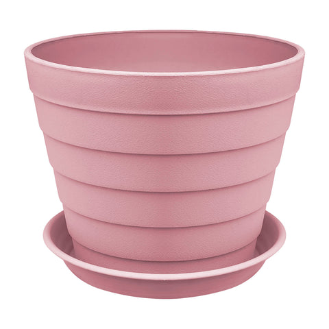 Plant Pot - Asters Maldives