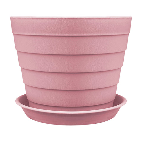 Plant Pot - Asters Maldives
