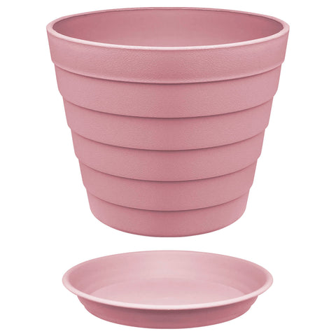 Plant Pot - Asters Maldives