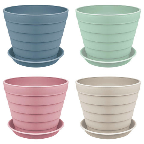 Plant Pot - Asters Maldives